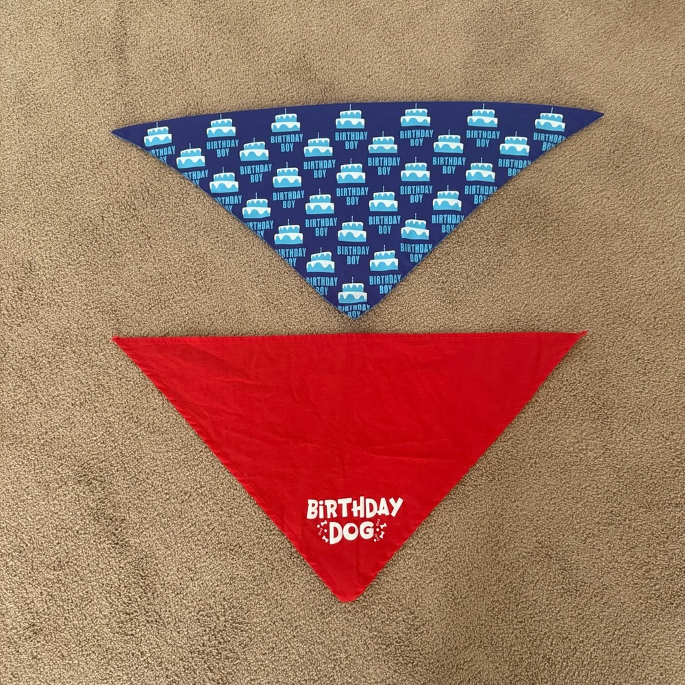 Birthday Dog Bandanas Set